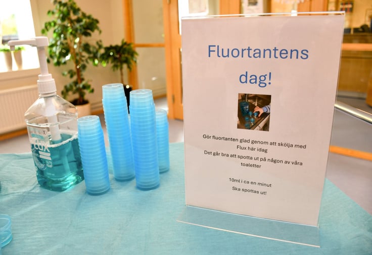 Tandhygienisten Ann Nilsson förbereder fluortantens dag