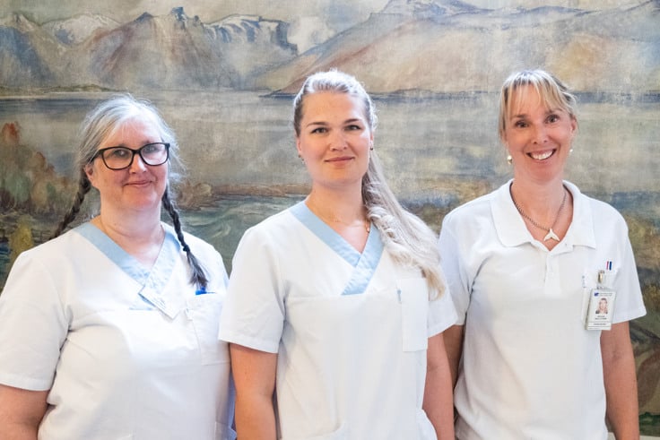 En grupp kvinnor som st&aring;r bredvid varandra.