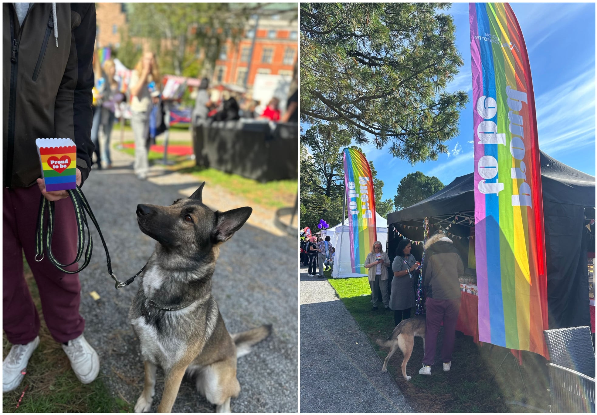 Lulke&aring; Pride