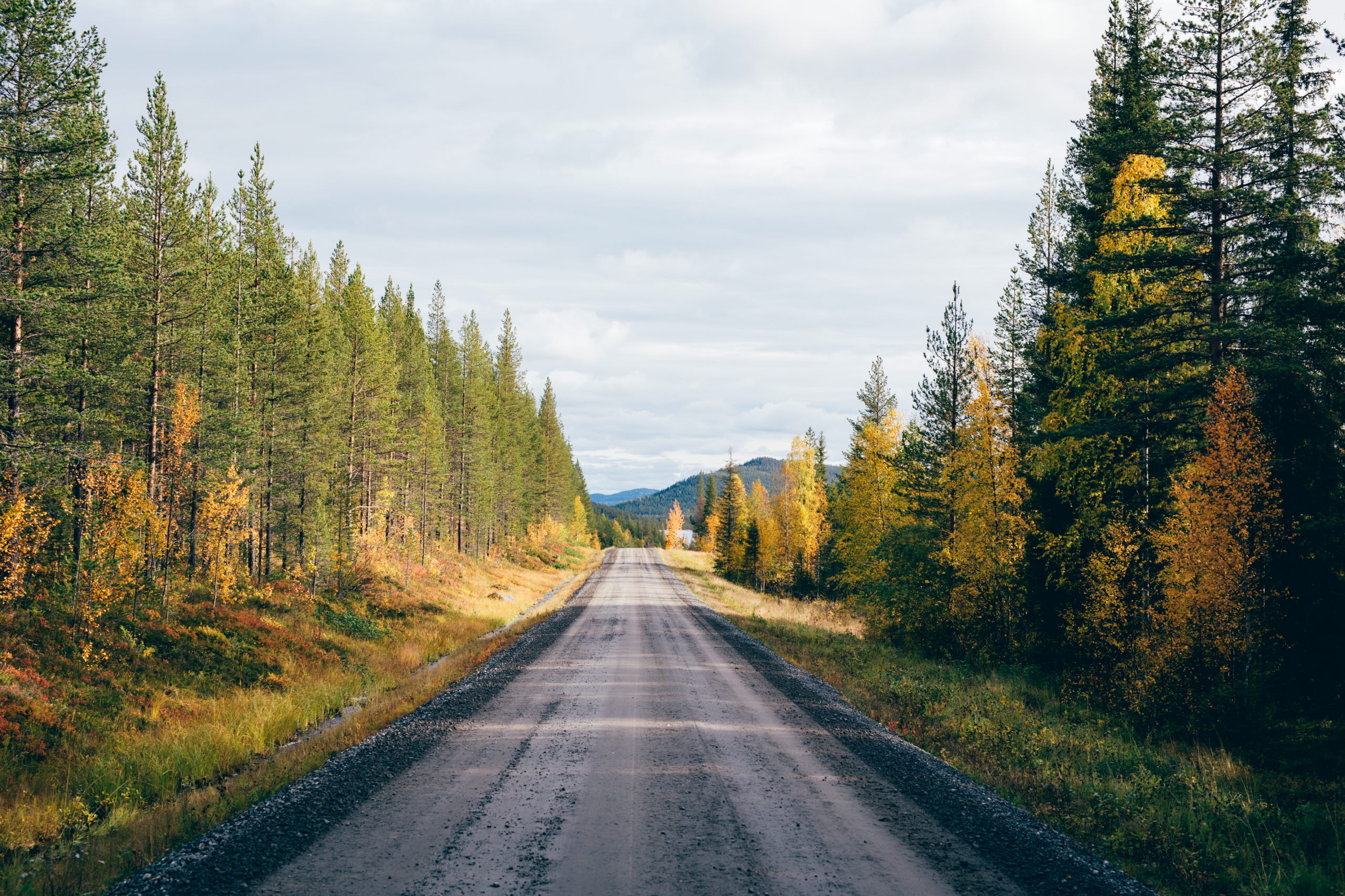 Norrländsk grusväg en höstdag