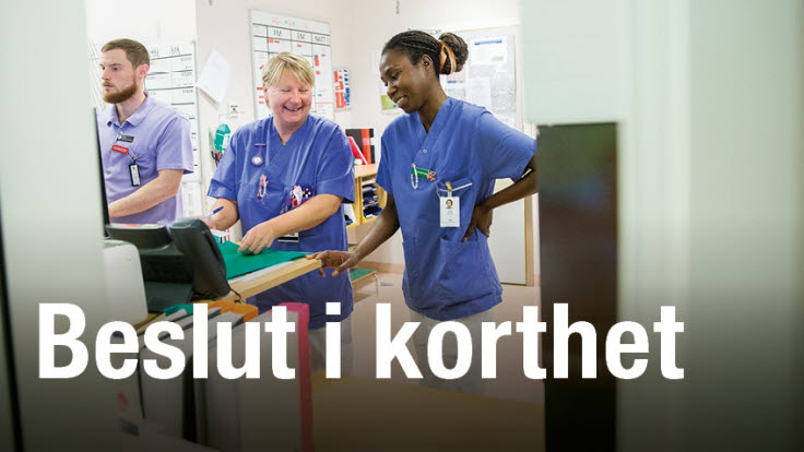 Beslut i korthet