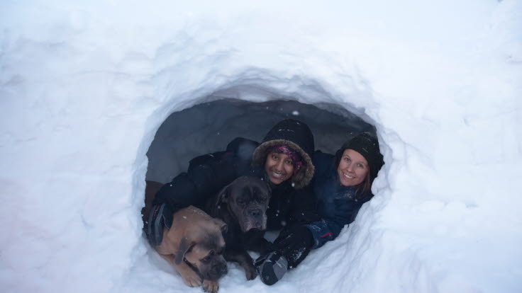 Två glada kvinnor och två hundar i en snögrotta.