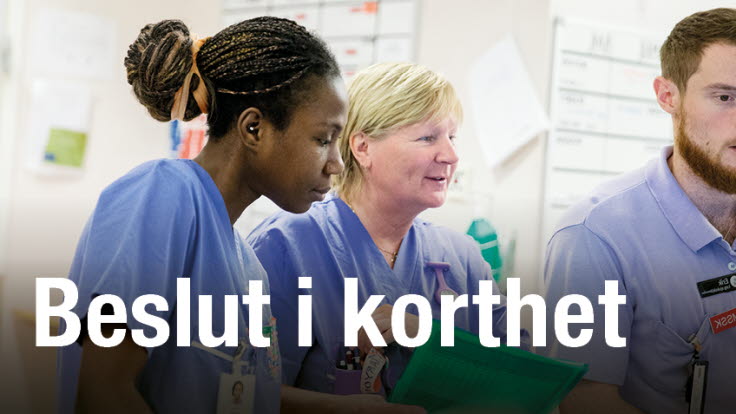 Beslut i korthet