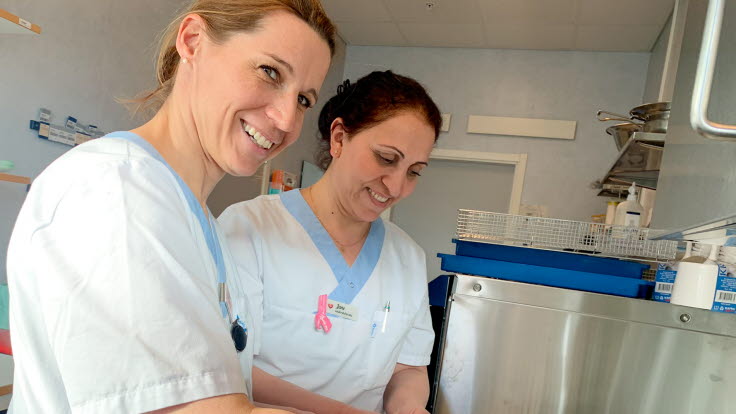 Här är verktyget som används vid undersökningen. Längst ut på spetsen finns både kamera och en liten ”hyvel” som kan ta bort vävnad. Julia Bilgeri och Jané Dawe.