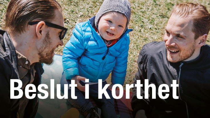 Beslut i korthet